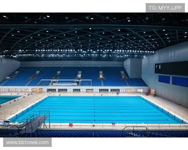 杭州排球队的节奏革新探索与实践引领未来发展新方向